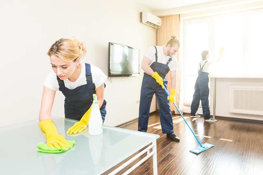 cleaning service with professional equipment during work. professional kitchenette cleaning, sofa dry cleaning, window and floor washing. man and women in uniform, overalls and rubber gloves