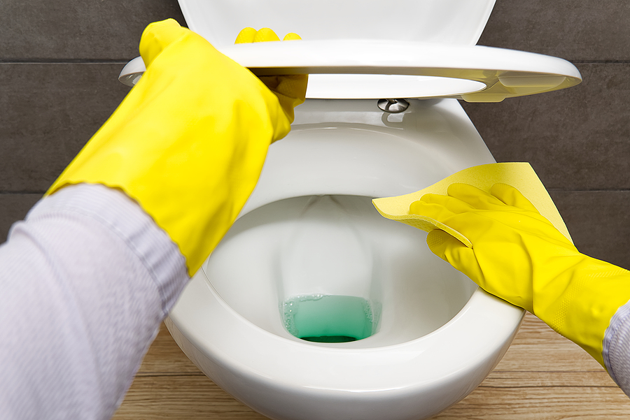 Recurring Cleaning Water Damaged Carpets Rock Hill Sc - How To Clean A Yellowing Plastic Toilet Seat